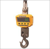 crane scale